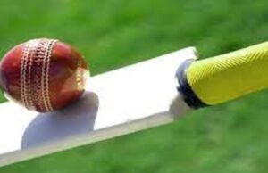 How to Get Your Online Cricket ID Quickly with Amiribook