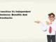 Franchise Vs Independent Business: Benefits And Drawbacks of it. Franchise Vs Independent Business: Benefits And Drawbacks