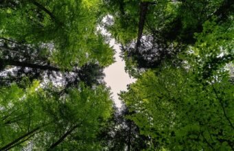 Top Deals on 7 Days Kerala Private Tours – Book Now Today 7 days kerala private tours