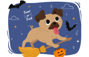 30 Halloween Dog Puns That Are Fur-ighteningly Good For You🐶🎃 30 Halloween Dog Puns That Are Fur-ighteningly Good 🐶🎃