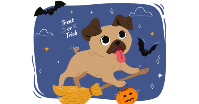 30 Halloween Dog Puns That Are Fur-ighteningly Good 🐶🎃