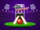 How Live Cricket Betting Odds Operate and Important Information