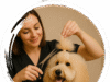 Grooming Station San Diego: Best Dog & Cat Grooming Services in One Place pet salon San Diego