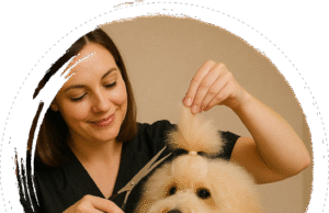 Grooming Station San Diego: Best Dog & Cat Grooming Services in One Place pet salon San Diego