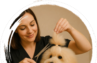 Grooming Station San Diego: Best Dog & Cat Grooming Services in One Place pet salon San Diego