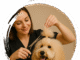 Grooming Station San Diego: Best Dog & Cat Grooming Services in One Place pet salon San Diego