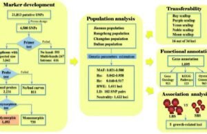 The Introduction of DNA Molecular Markers introduction-to-dna-molecular-markers