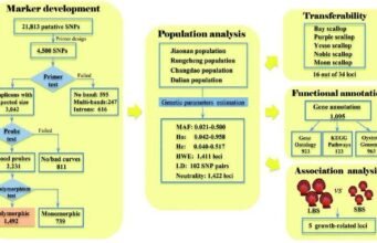 The Introduction of DNA Molecular Markers introduction-to-dna-molecular-markers