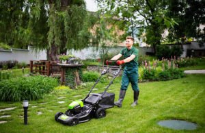 Lawn Mowing Service in Lansing, MI: Your Guide lawn mowing service lansing mi