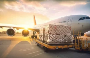 Driving Classes Winnipeg: The Complete Guide to Getting Started Air Freight