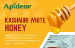 What Makes Kashmir White Honey Better Than Ordinary Honey? kashmir white honey