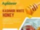 What Makes Kashmir White Honey Better Than Ordinary Honey? kashmir white honey
