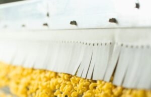 Everything You Need to Know About Pasta Making Machines: Easy Guide