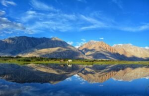 Ladakh Tourism: Explore the Land of High Passes, Monasteries, and Pristine Lakes