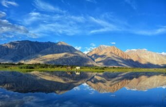 Why Ladakh Tour Packages Are Perfect for Your Next High-Altitude Adventure and Cultural Escape