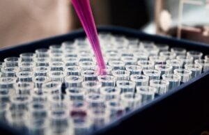 Exploring the Potential of Plant-Derived Exosomes in Biotechnology health