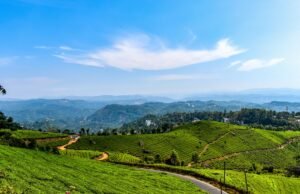 Top 10 Best Tourist Places in Munnar for a Memorable Hill Station Getaway
