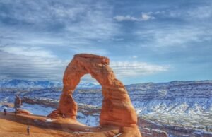 Masai Mara National Park Packages: Best Safari Deals and Experiences