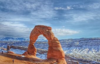 Masai Mara National Park Packages: Best Safari Deals and Experiences