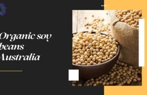 Healthy Living Starts with Organic Soy Beans from Australia