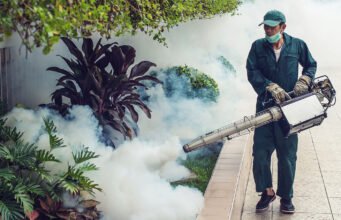 Effective Pest Control Services to Keep Your Home Pest-Free pest control services