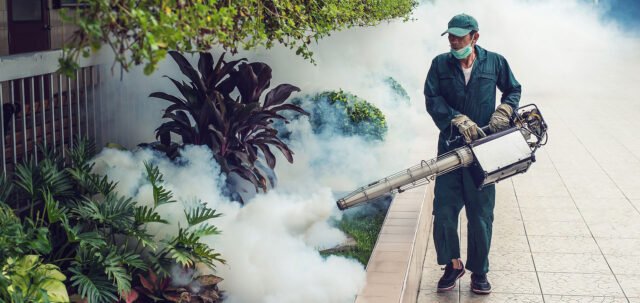 pest control services