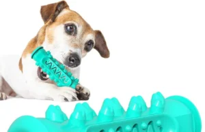 Don’t Buy Until You Read This The Ultimate Guide to Eco-Friendly Pet Supplies