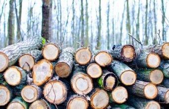 Billig ved i Stockholm – Så hittar du rätt ved till rätt pris med hemleverans Billig ved i Stockholm