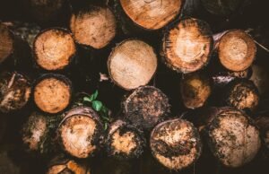 Stockbord ved – en smart lösning för dig som vill köpa ved till rätt pris i Stockholm Stockbord ved