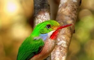 See the World Differently and Experience the Magic of Vive Mas Tours Vive Mas Tours