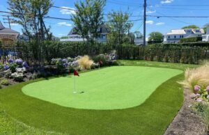 What is the Best Grass for a Backyard Putting Green?